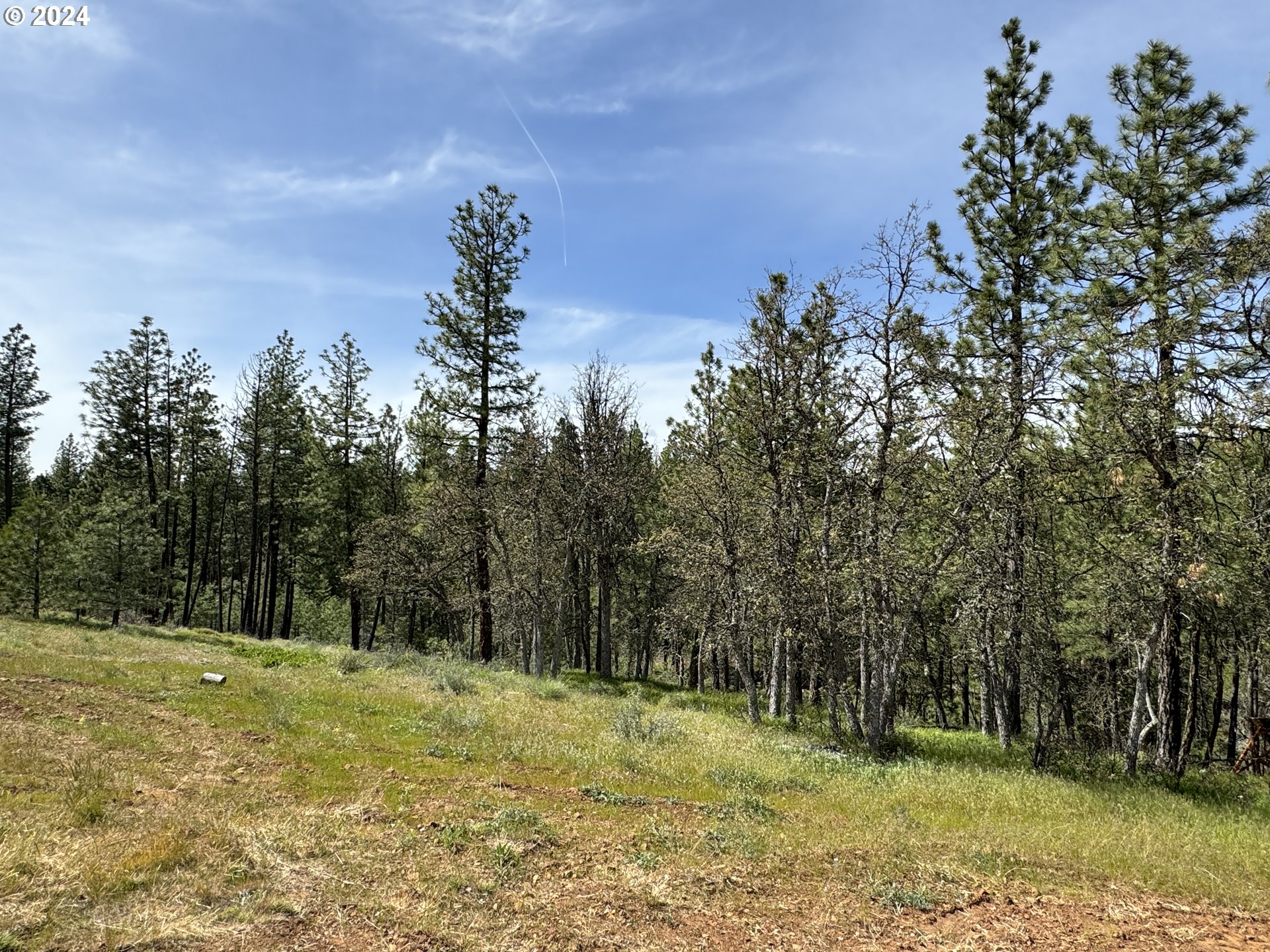352 Box Canyon Road Goldendale, WA 98620 - Photo 20 of 37
