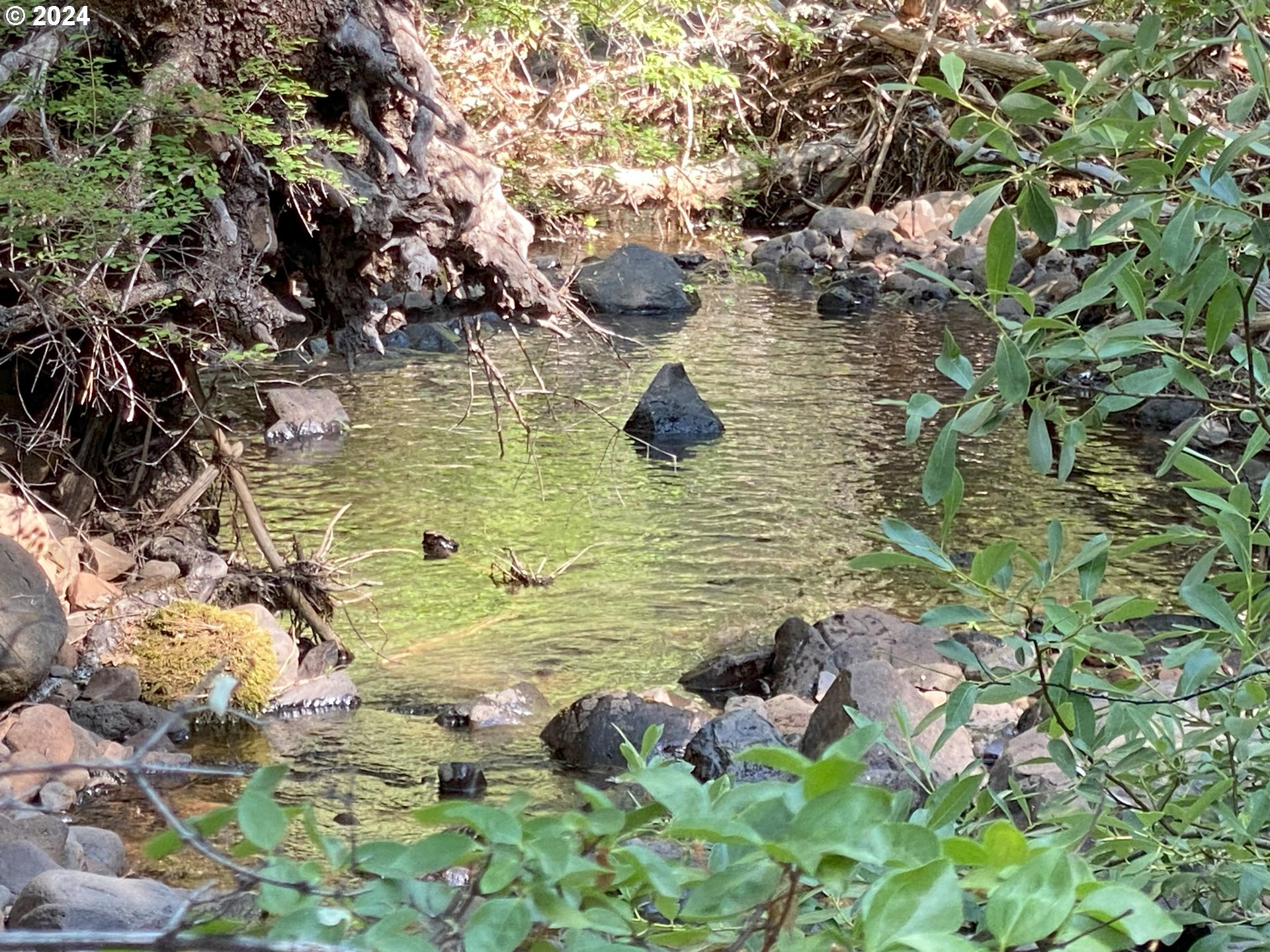 352 Box Canyon Road Goldendale, WA 98620 - Photo 2 of 37