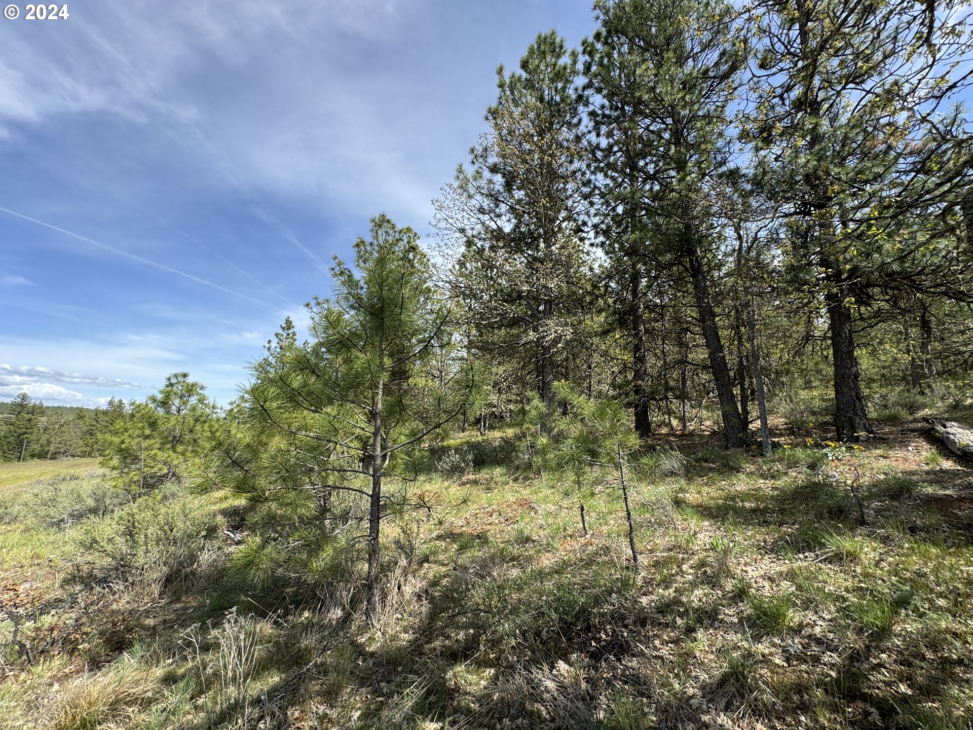 352 Box Canyon Road Goldendale, WA 98620 - Photo 22 of 37