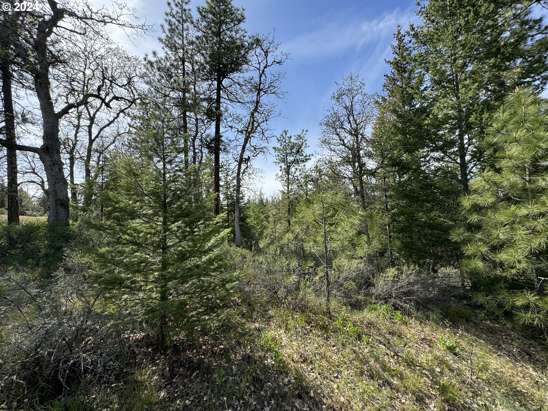 352 Box Canyon Road Goldendale, WA 98620 - Photo 24 of 37