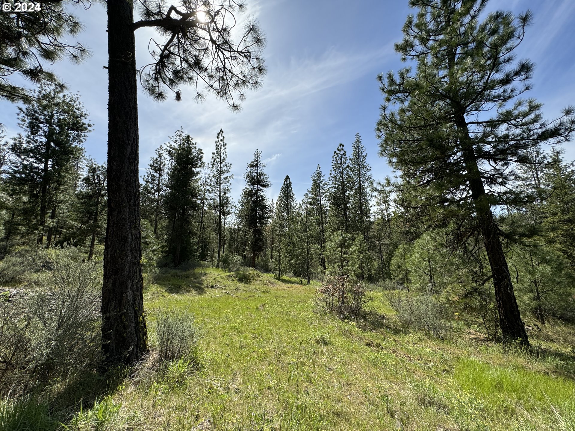 352 Box Canyon Road Goldendale, WA 98620 - Photo 25 of 37