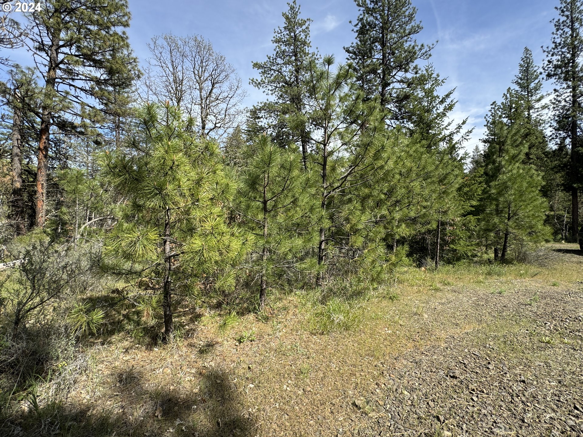 352 Box Canyon Road Goldendale, WA 98620 - Photo 27 of 37