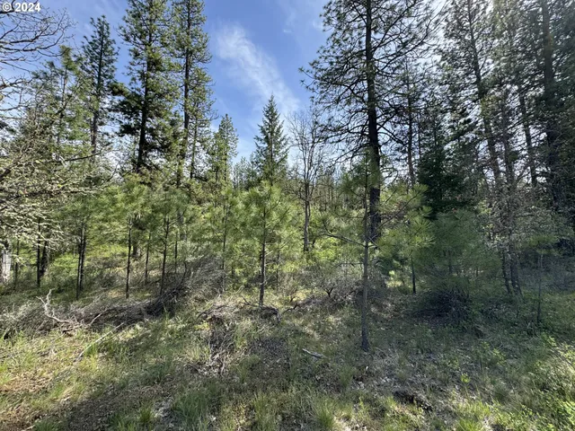 $229,900 | 352 Box Canyon Road, Goldendale, WA 98620