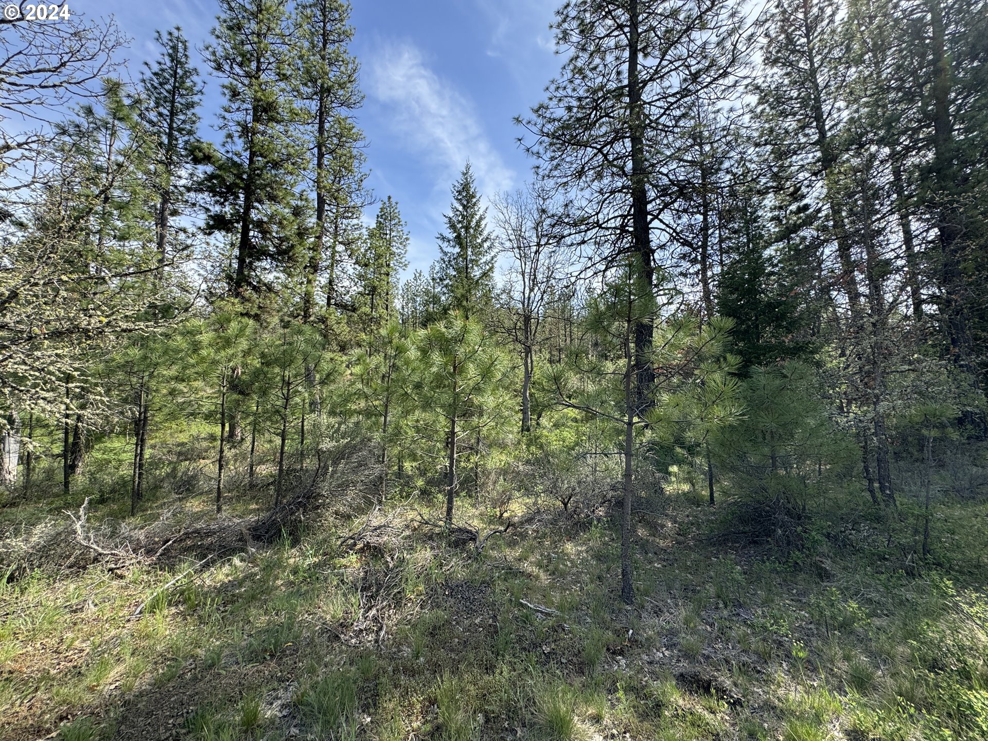 352 Box Canyon Road Goldendale, WA 98620 - Photo 29 of 37