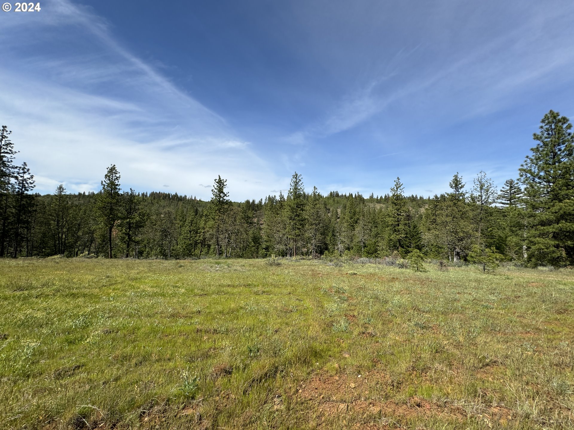 352 Box Canyon Road Goldendale, WA 98620 - Photo 33 of 37