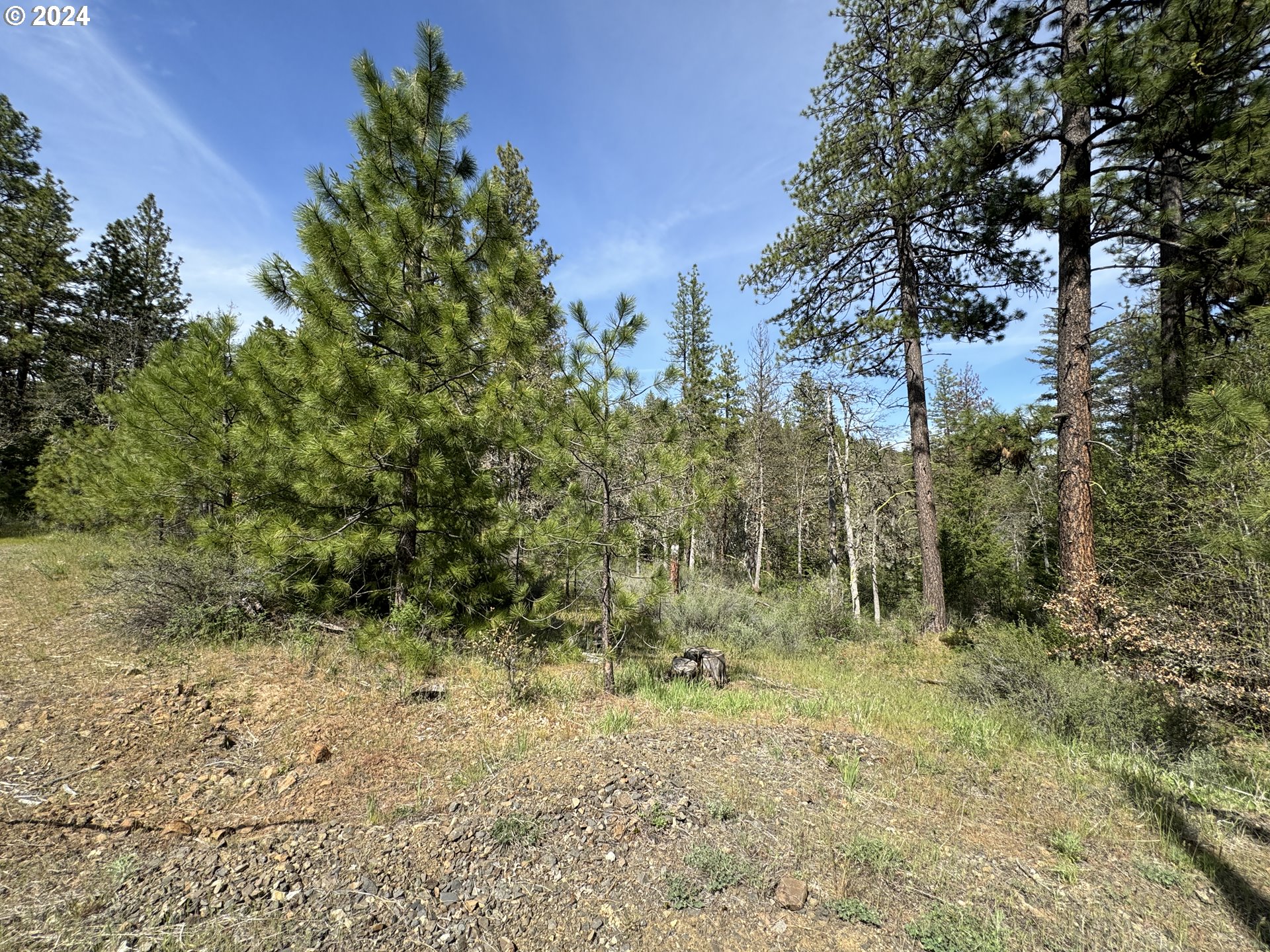 352 Box Canyon Road Goldendale, WA 98620 - Photo 35 of 37