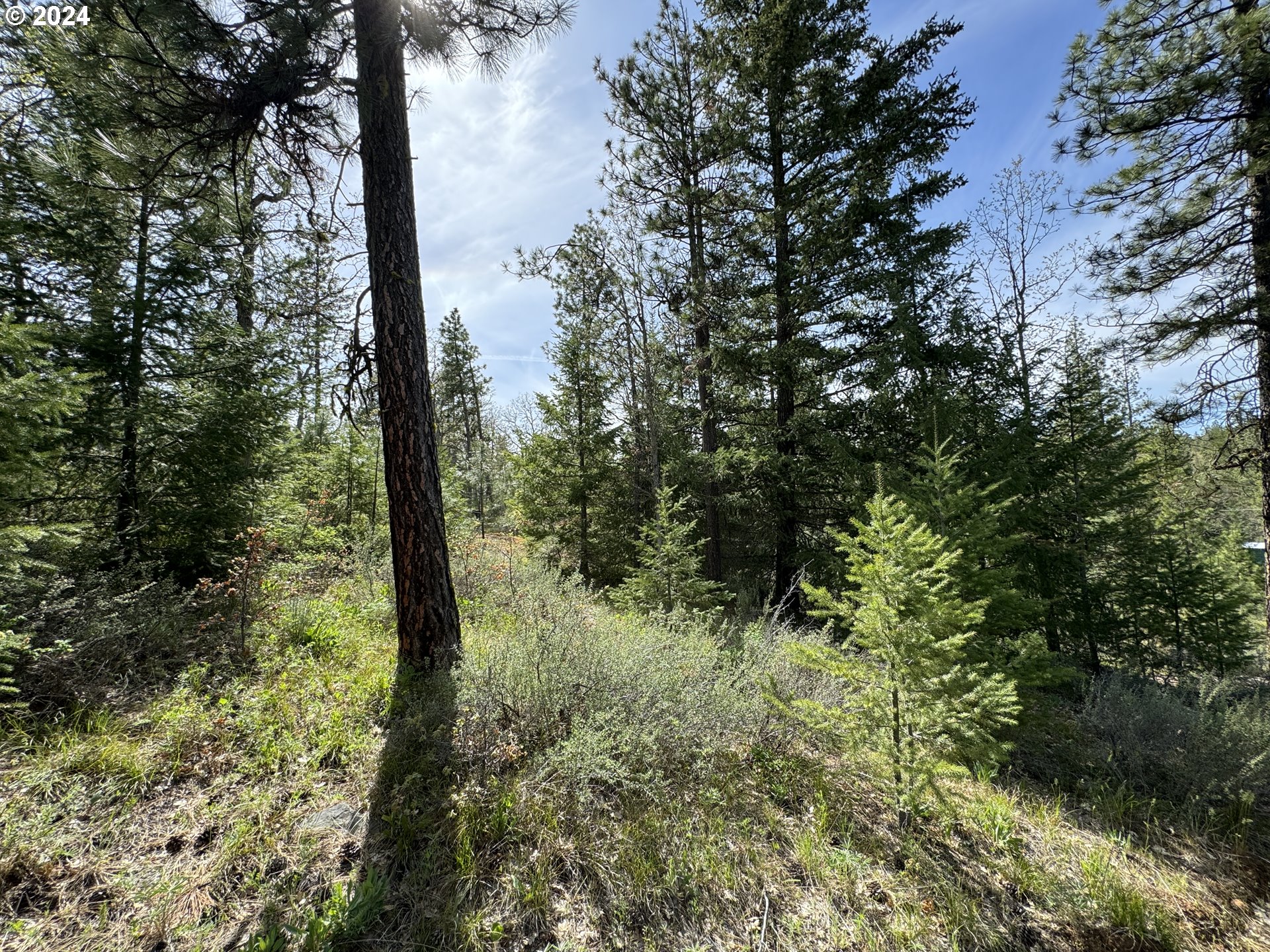 352 Box Canyon Road Goldendale, WA 98620 - Photo 36 of 37