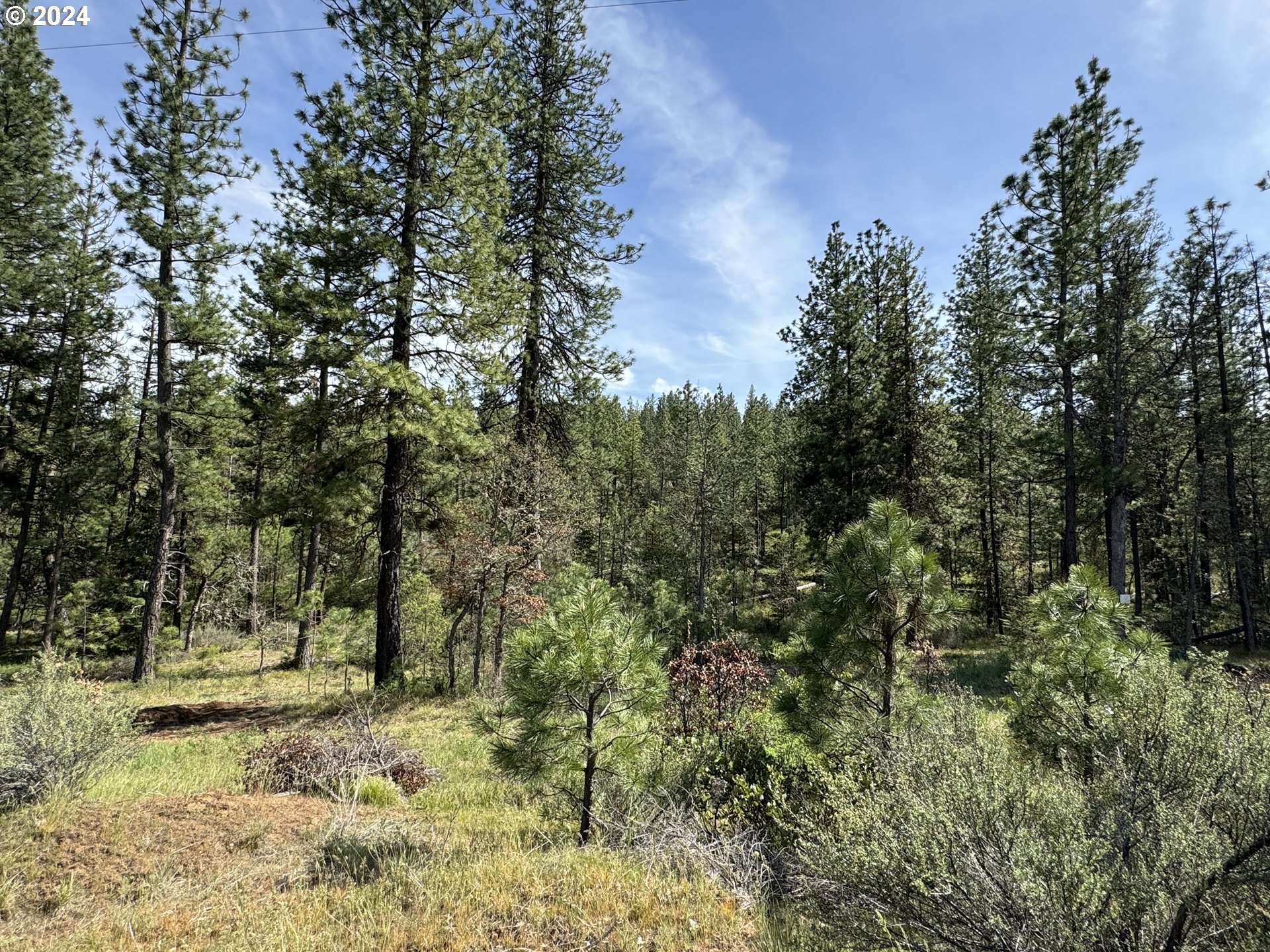 352 Box Canyon Road Goldendale, WA 98620 - Photo 9 of 37