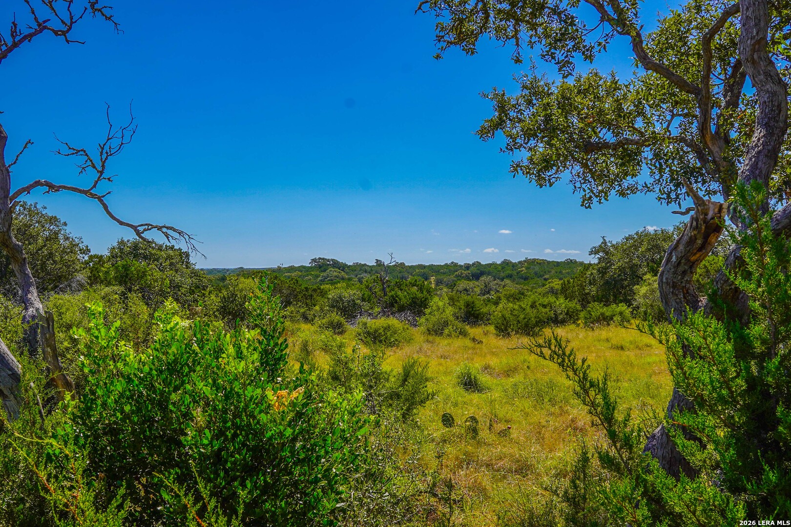 14468 County Road 310 Rocksprings, TX 78880 - Photo 18 of 101 Gallery Image 18