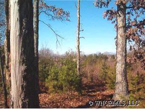 398 Dewitt Owens Road Rutherfordton, NC 28139 - Photo 12 of 12 a view of a yard