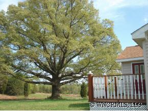 398 Dewitt Owens Road Rutherfordton, NC 28139 - Photo 3 of 12 a view of a deck with large trees