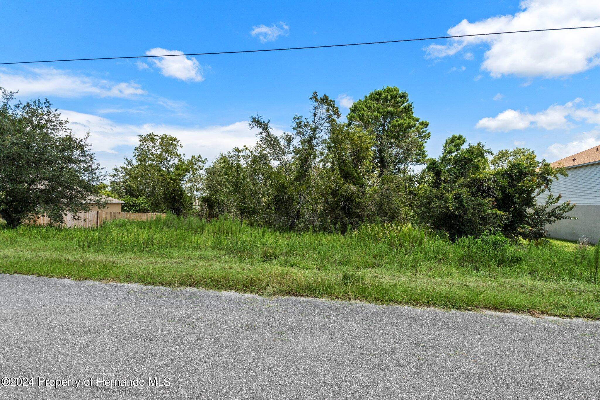 0 House Finch Road Weeki Wachee, FL 34614 - Photo 12 of 13 a view of a yard with potted plants