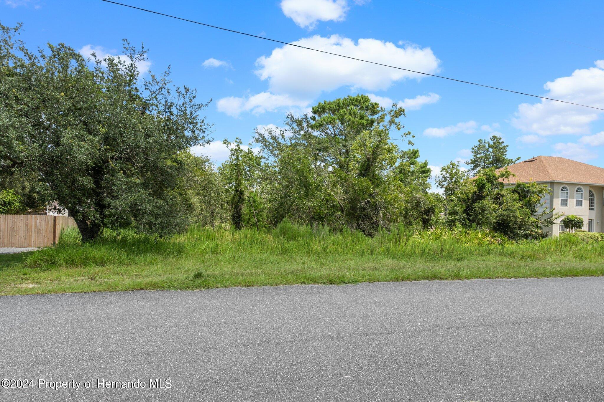 0 House Finch Road Weeki Wachee, FL 34614 - Photo 13 of 13 a view of a back yard