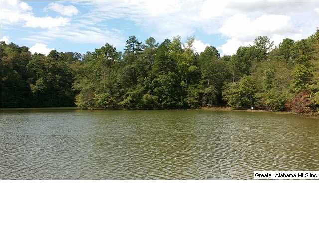 Arrowhead Drive Delta, AL 36258 - Photo 1 of 1
