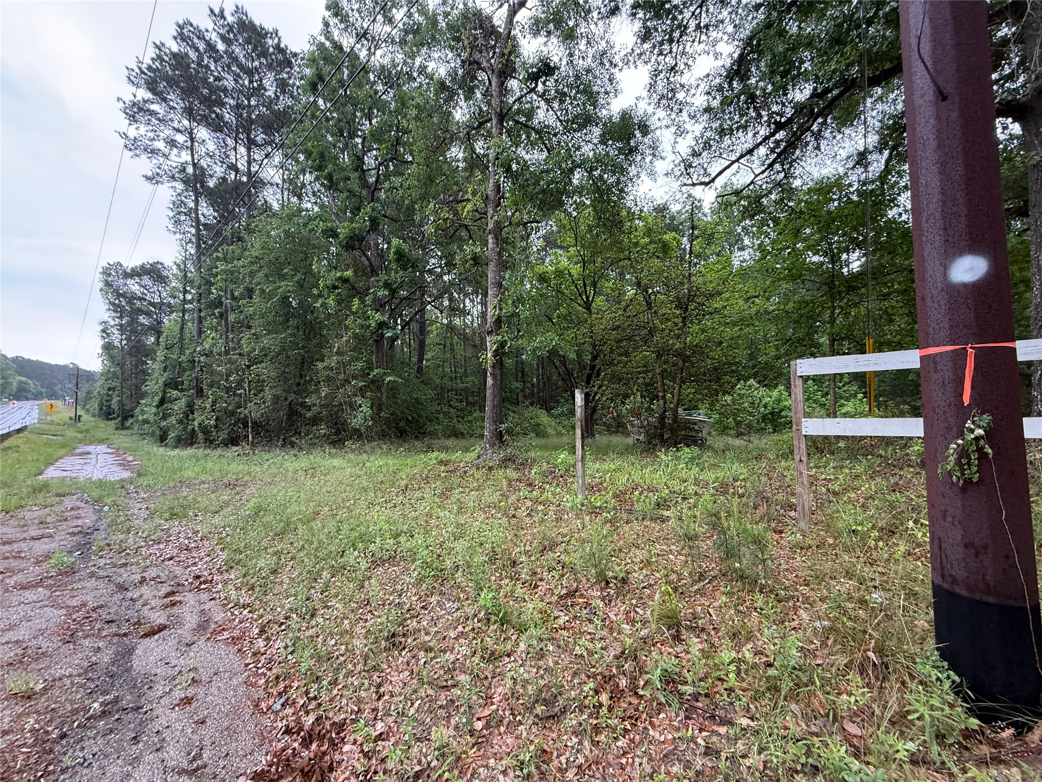 12144 FM 1484 Road Conroe, TX 77303 - Photo 18 of 39