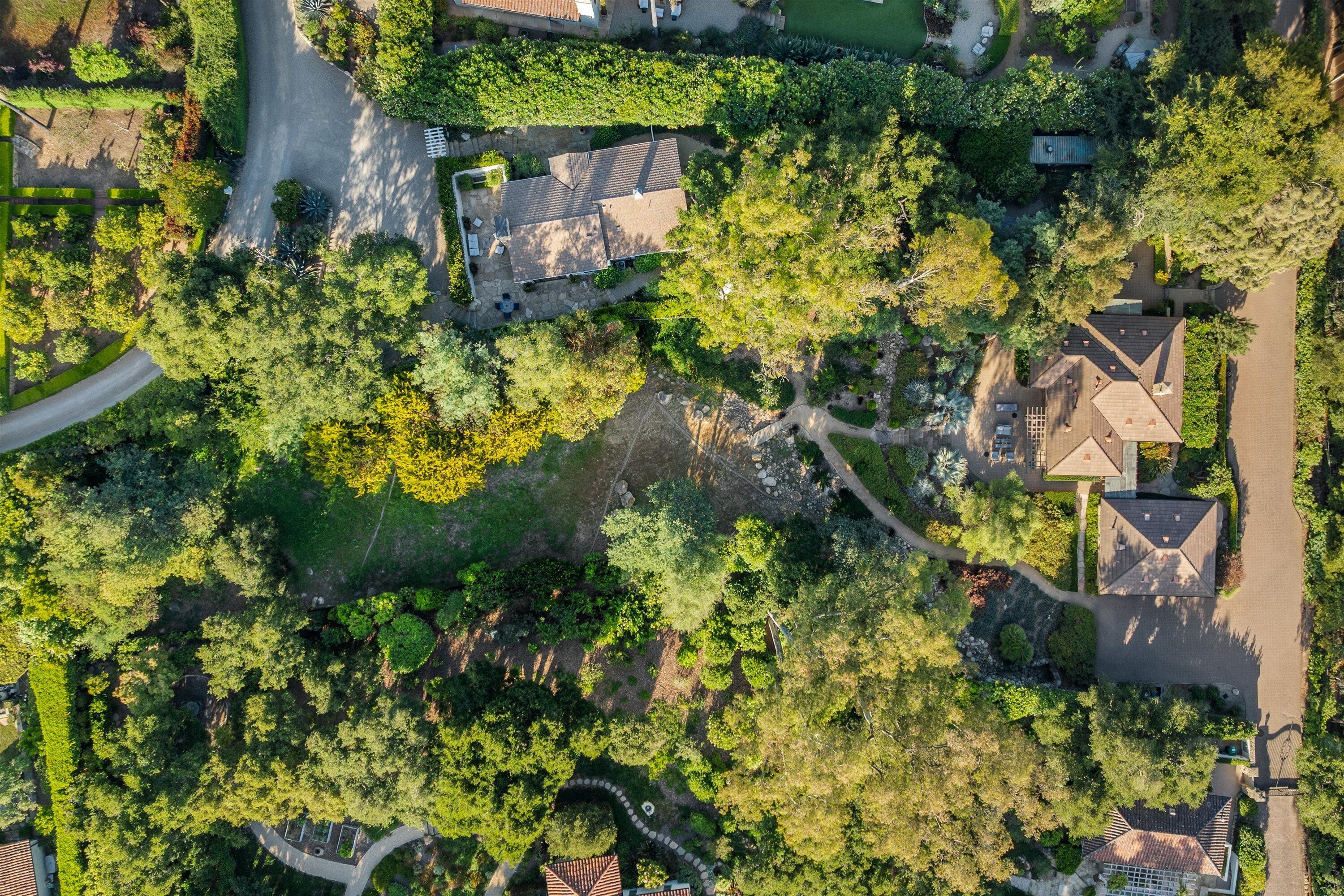 741 Hot Springs Road Santa Barbara, CA 93108 - Photo 20 of 24 a plant that is in a garden