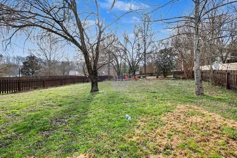 a view of a park with large trees
