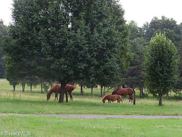424 Allen Road Mocksville, NC 27028 - Photo 16 of 16 View. Thank for visiting 424 Allen Road!