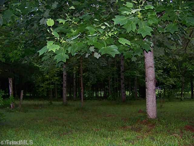 424 Allen Road Mocksville, NC 27028 - Photo 5 of 16 Land/Lot. Mature trees for added privacy.