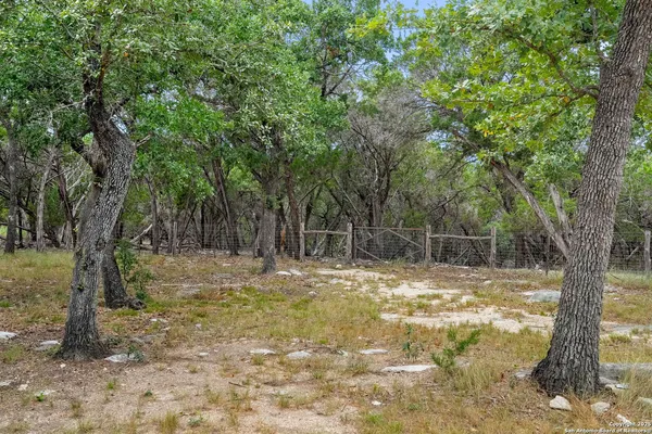 a view of a yard with trees
