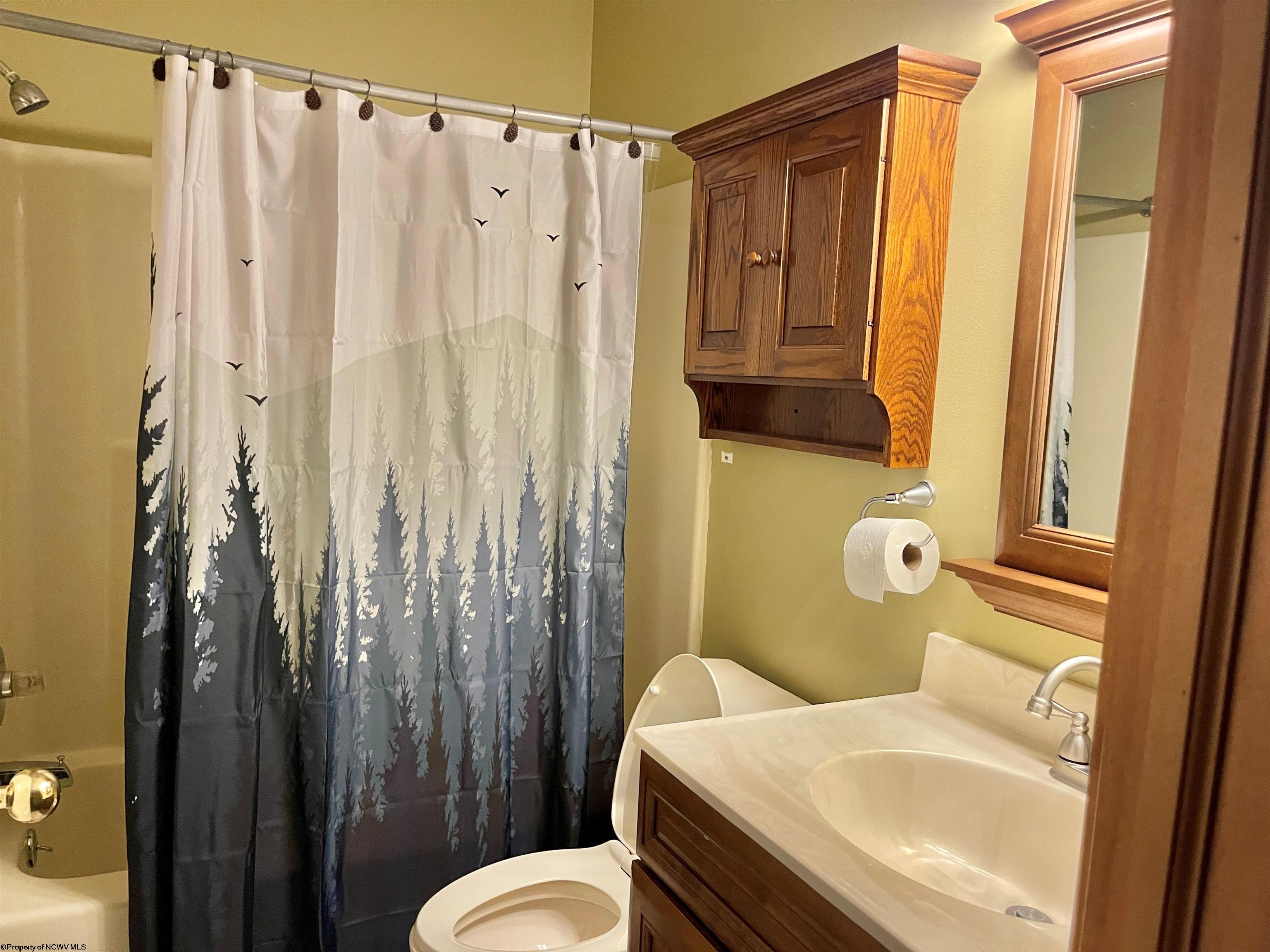 958 Ridge Road Davis, WV 26260 - Photo 8 of 20 Gallery Image 8