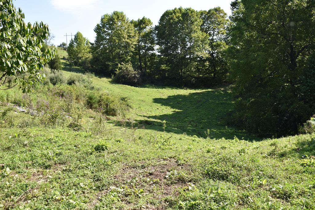 Tbd Egg Farm Road Cleveland, VA 24225 - Photo 1 of 7 Gallery Image 1