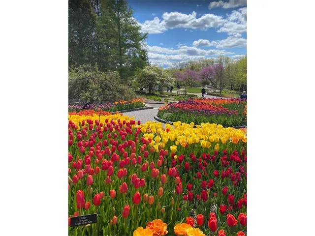 $615,000 | 3776 Brookside Drive, Chaska, MN 55318