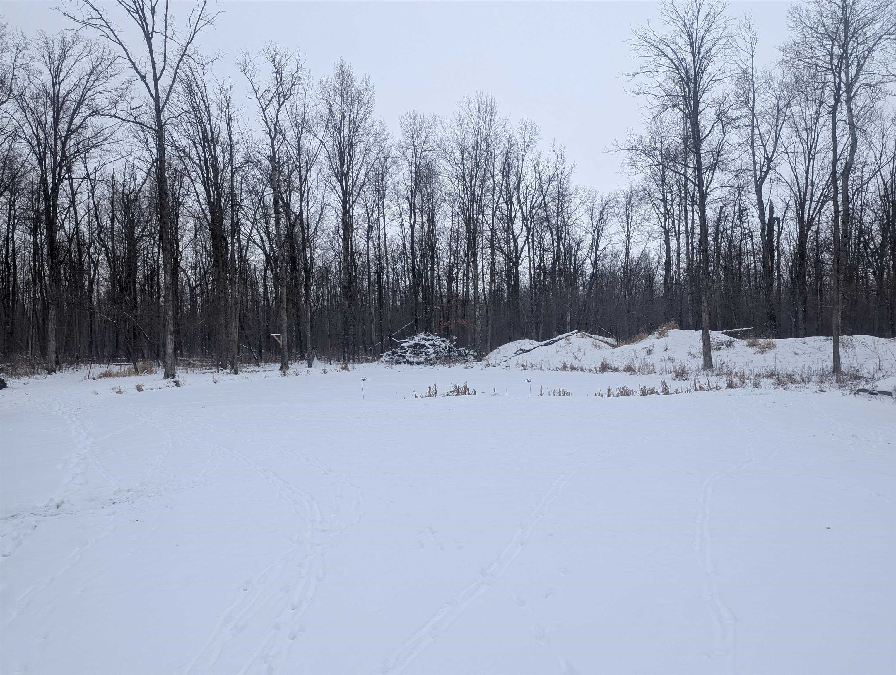 4262 Turner Road Turner, MI 48765 - Photo 5 of 43