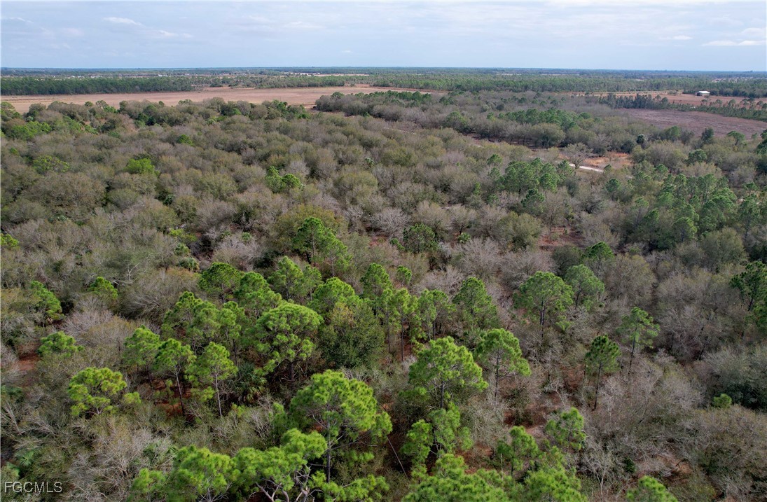 21001 Granville Road Punta Gorda, FL 33955 - Photo 11 of 21 an aerial view of forest