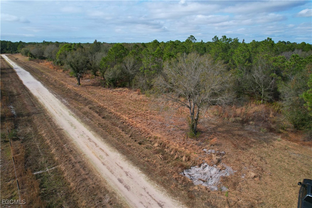 21001 Granville Road Punta Gorda, FL 33955 - Photo 12 of 21 a view of a forest with trees in the background