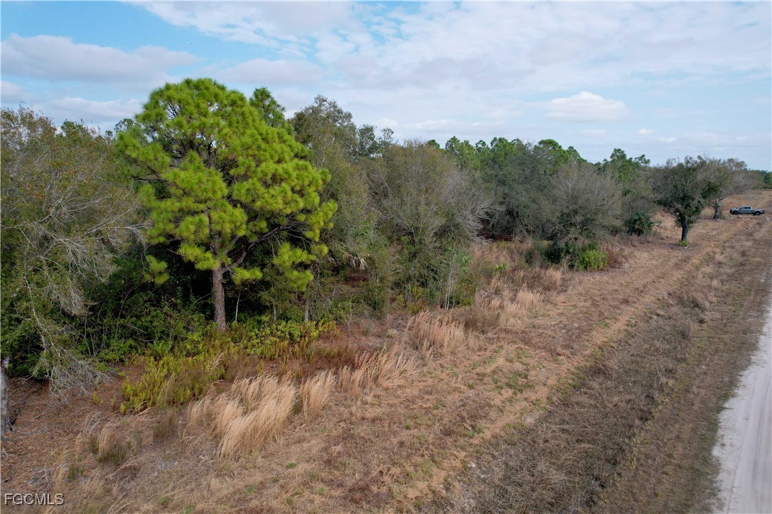 21001 Granville Road Punta Gorda, FL 33955 - Photo 13 of 21 a view of a yard with a tree
