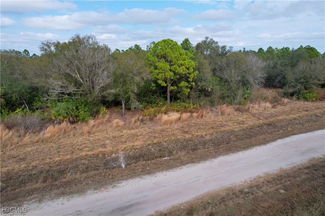 21001 Granville Road Punta Gorda, FL 33955 - Photo 14 of 21 a view of a dry yard with trees in the background
