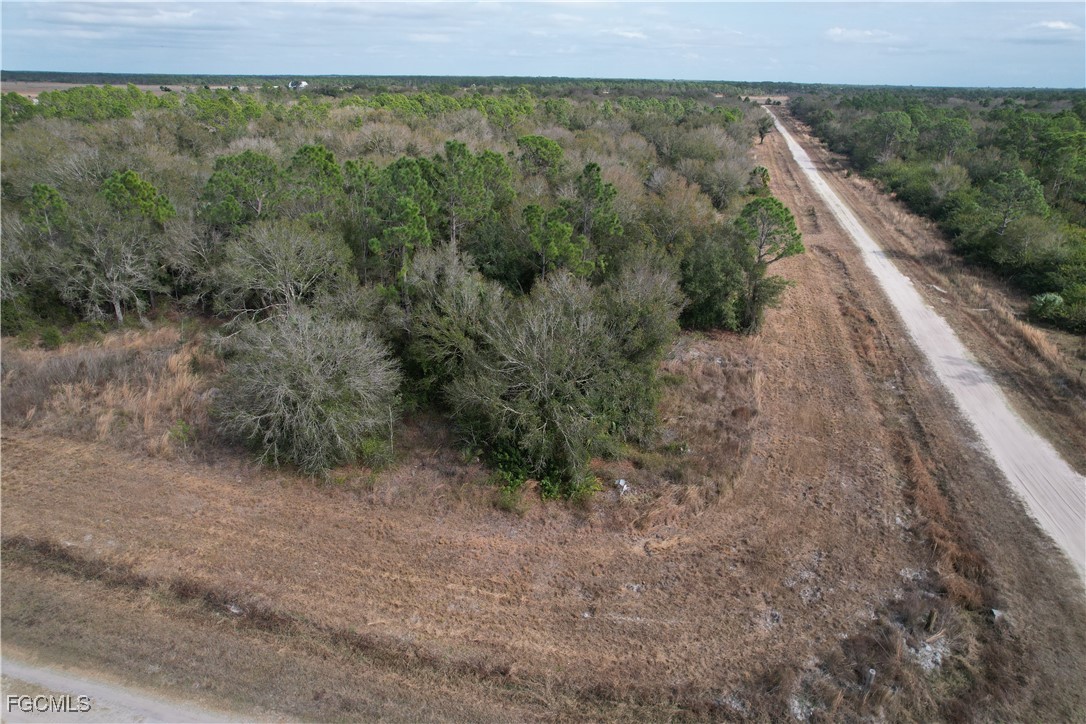 21001 Granville Road Punta Gorda, FL 33955 - Photo 17 of 21 a view of a dry yard with trees