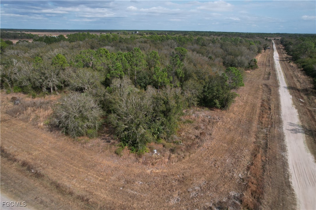 21001 Granville Road Punta Gorda, FL 33955 - Photo 18 of 21 a view of a field with a forest