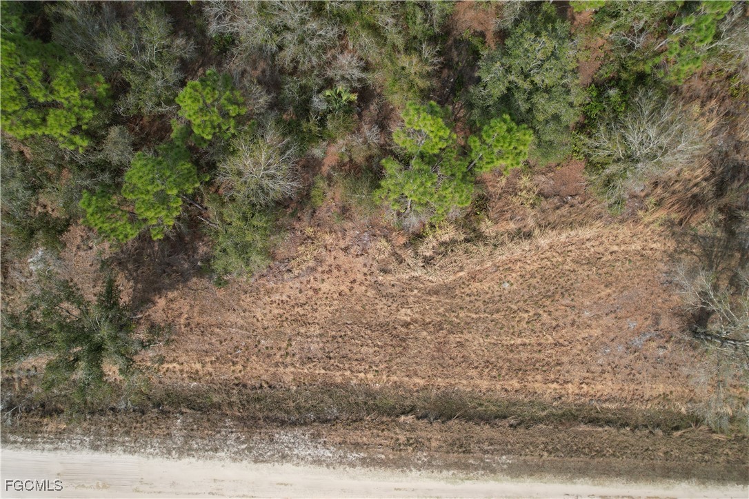 21001 Granville Road Punta Gorda, FL 33955 - Photo 19 of 21 a view of a yard with a tree