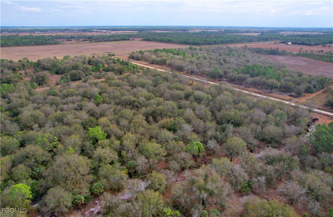 21001 Granville Road Punta Gorda, FL 33955 - Photo 8 of 21 a view of a lake with a mountain in the background