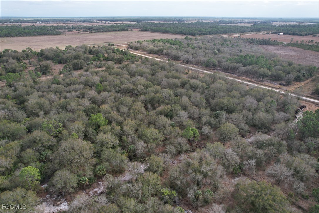21001 Granville Road Punta Gorda, FL 33955 - Photo 9 of 21 an aerial view of forest