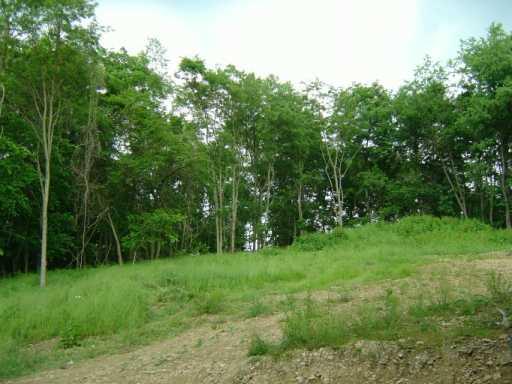 Lot #10 Valley View Road Scenery Hill, PA 15360 - Photo 6 of 7 Other.