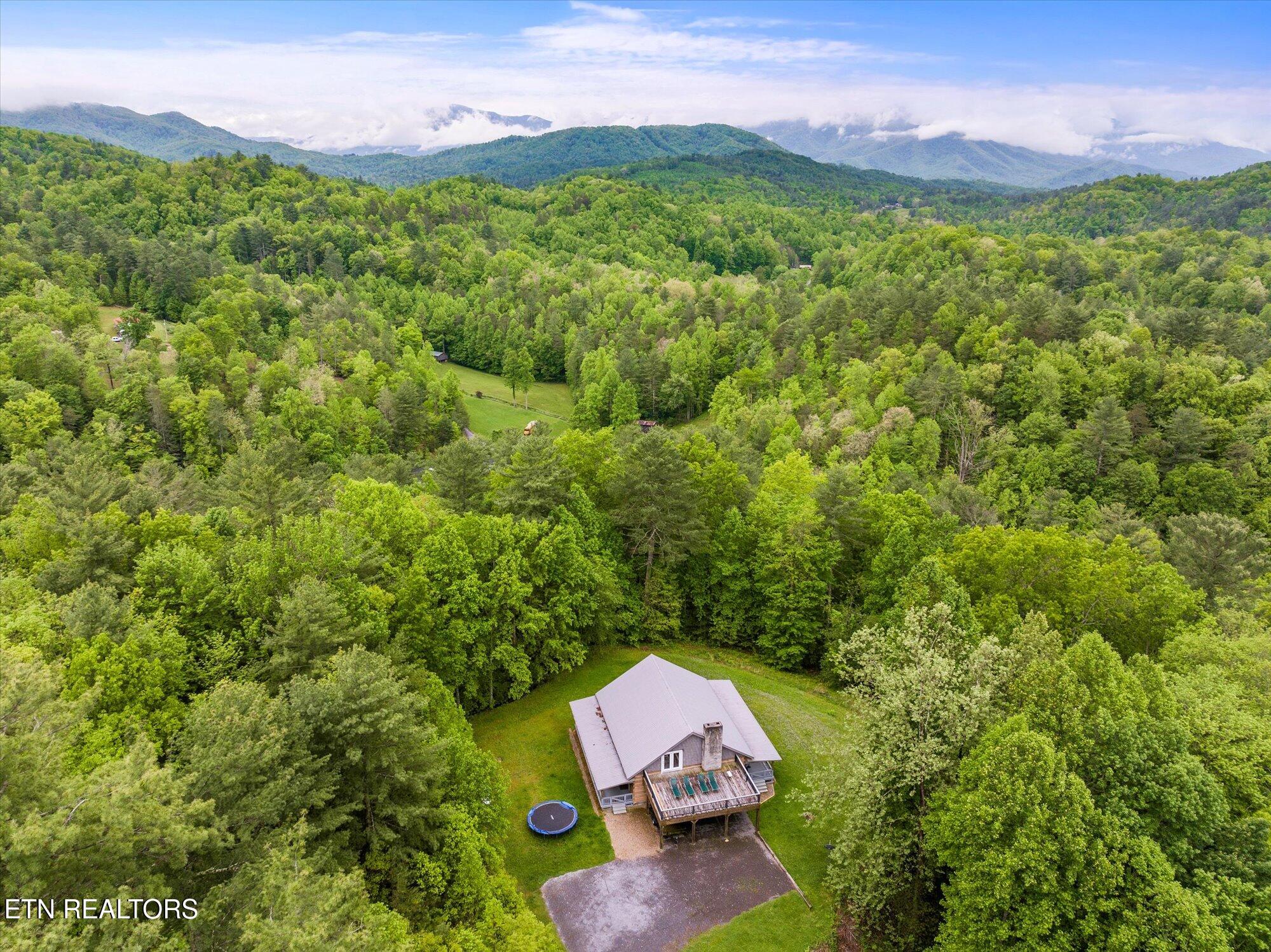 4620 Teague Branch Road Del Rio, TN 37727 - Photo 35 of 42 37-4620-Teague-Branch-Rd-Hartford-TN-37