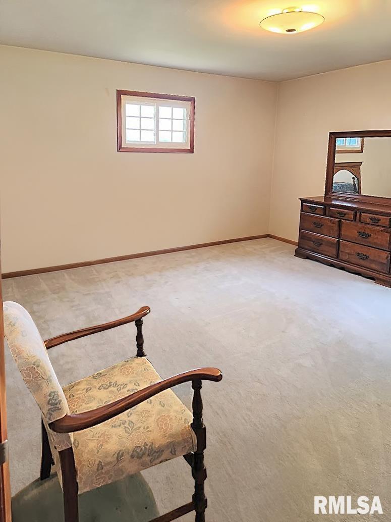 304 North 3rd Street Wyoming, IL 61491 - Photo 21 of 42