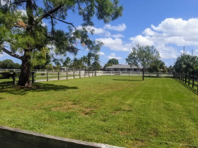 a view of a park with large trees