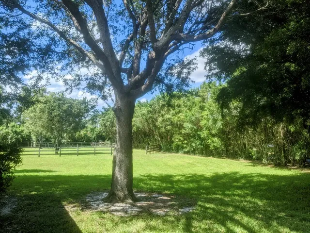 a view of backyard with deck