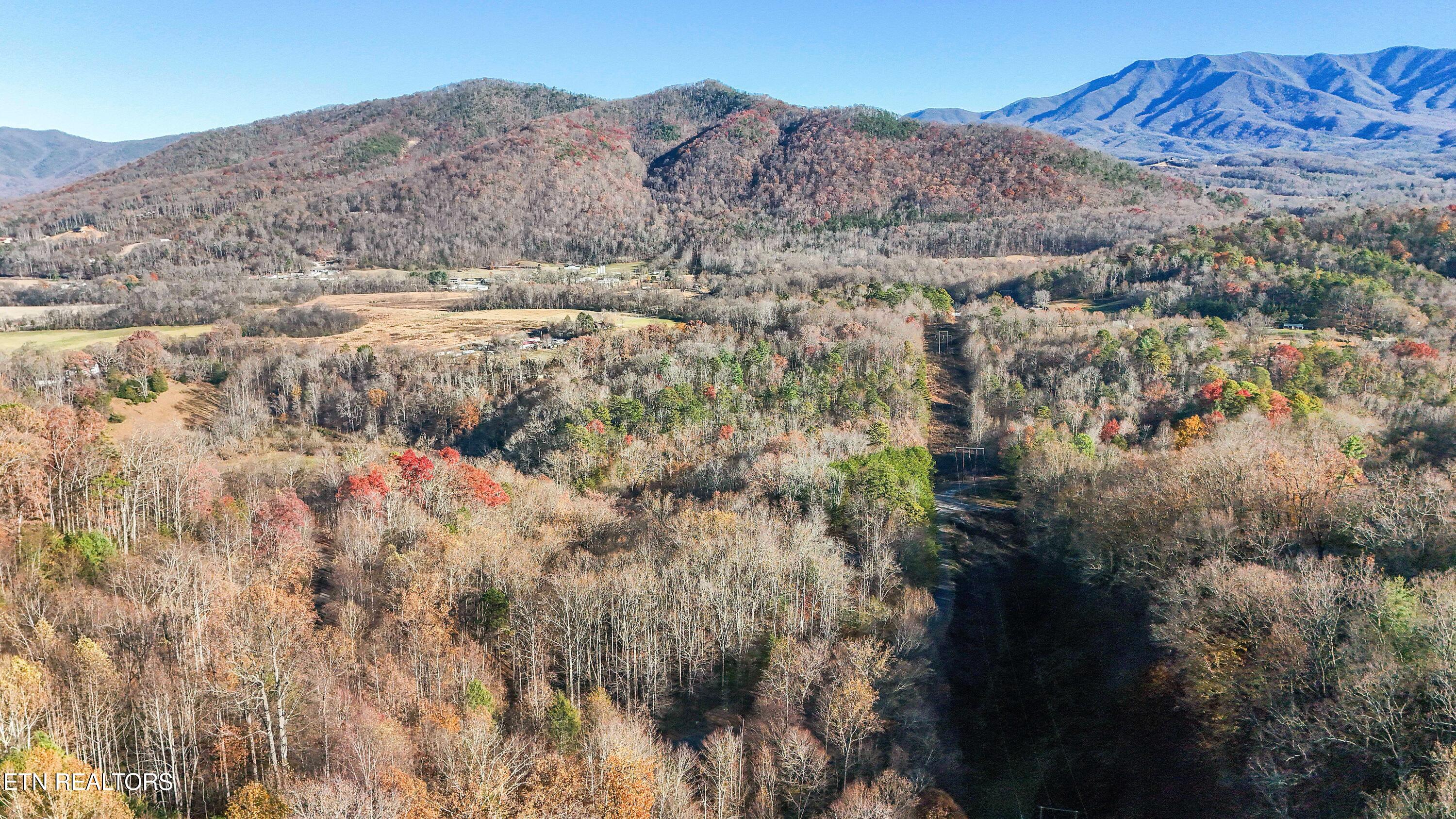 414 Gold Road Cosby, TN 37722 - Photo 56 of 58 DJI_20251117153700_0031_D