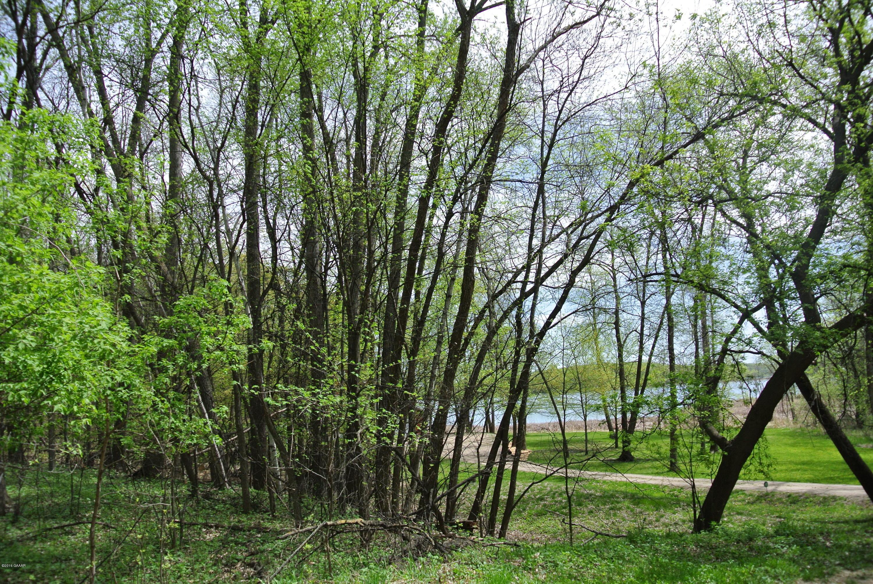Tall Timbers Road Southwest Garfield, MN 56332 - Photo 1 of 1 Gallery Image 1