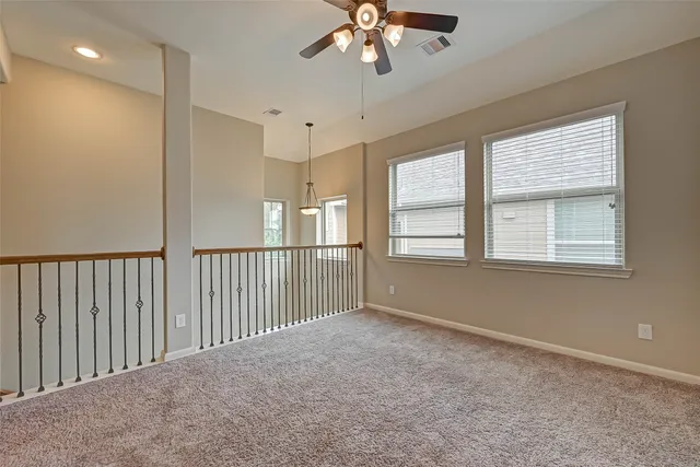 a view of a large garden with plants and large trees