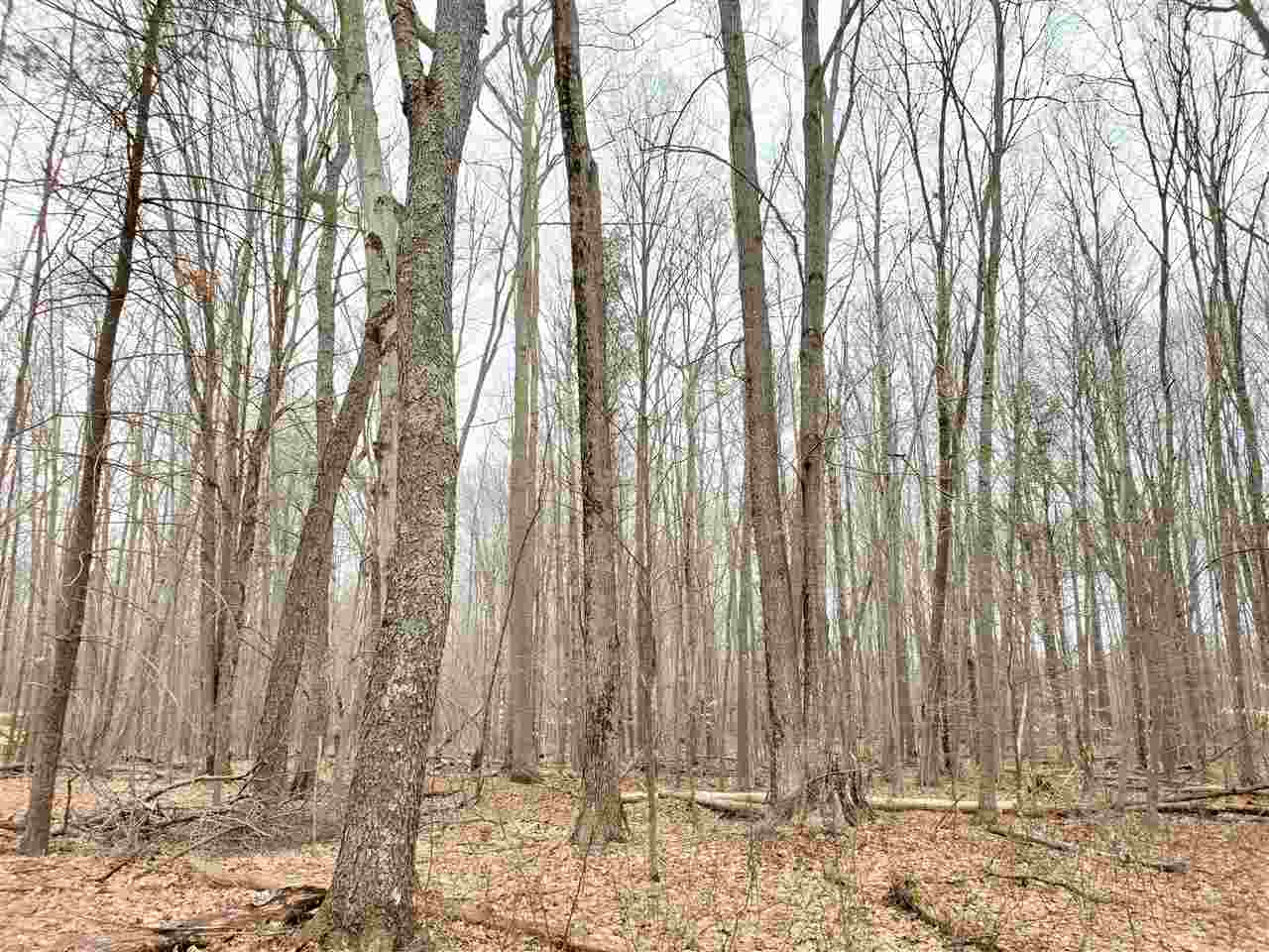 12262 Kerry Road Brethren, MI 49619 - Photo 47 of 95 1885414-46.JPG
