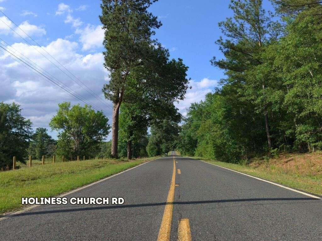 Lot 4 Holiness Church Road Wagener, SC 29164 - Photo 5 of 17