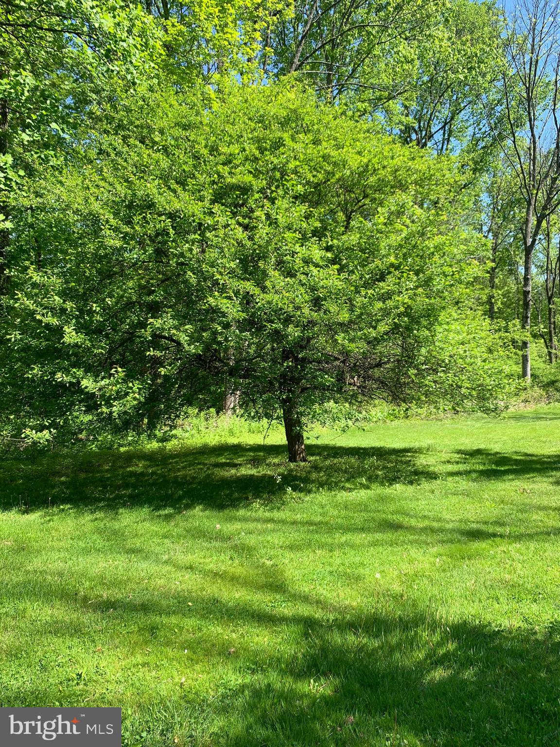 422 Northside Road Elverson, PA 19520 - Photo 21 of 30 Gallery Image 21