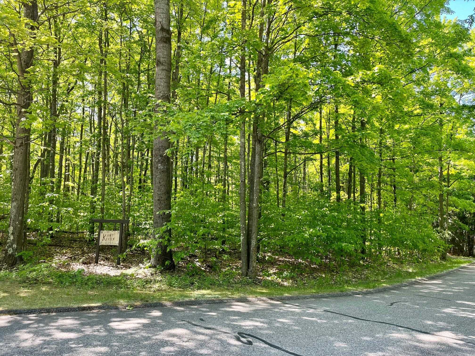 62 Valley Run Road Bellaire, MI 49615 - Photo 4 of 9