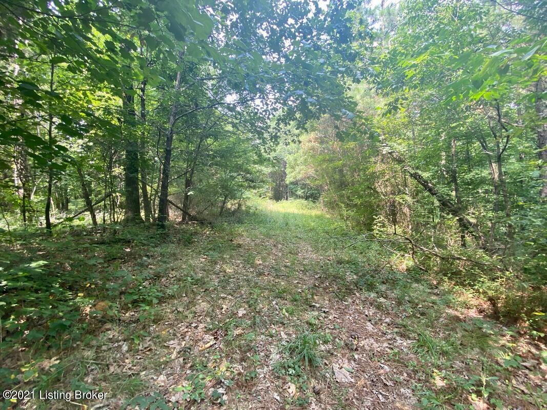 1270 Duvall Road Caneyville, KY 42721 - Photo 21 of 61 1270 Duvall Rd9